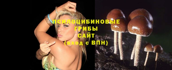 прущие грибы Алексин