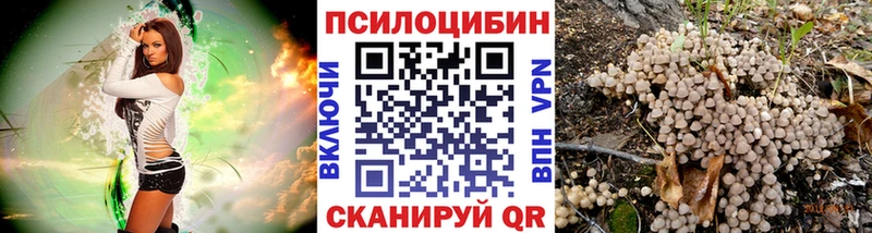 darknet формула  Кимры  Псилоцибиновые грибы Magic Shrooms 
